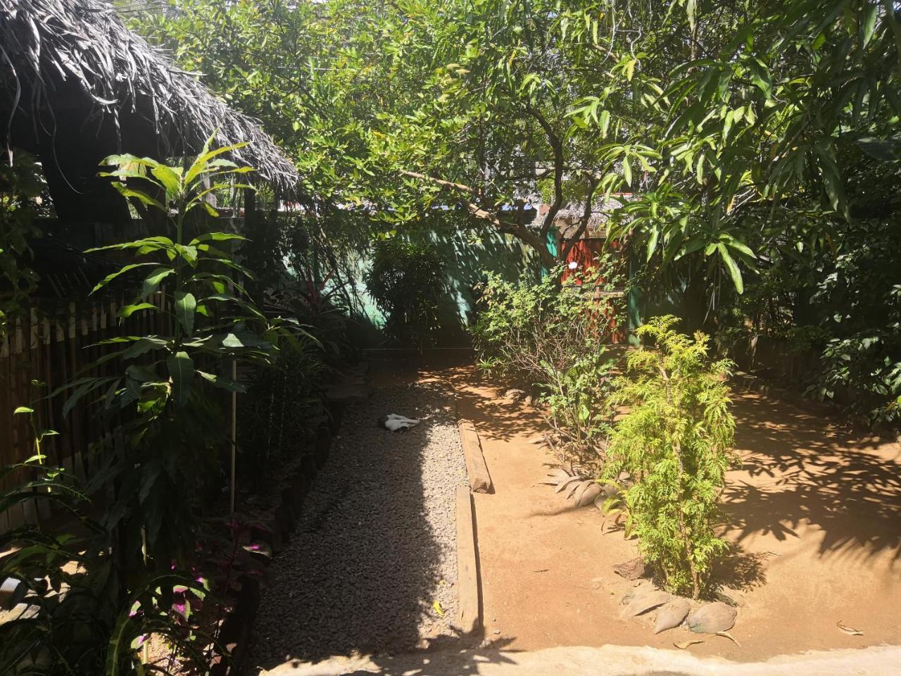 Alass Ga For Pets Lovers Trincomalee Esterno foto