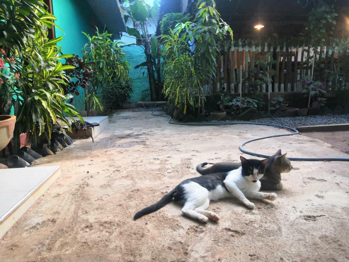 Alass Ga For Pets Lovers Trincomalee Esterno foto